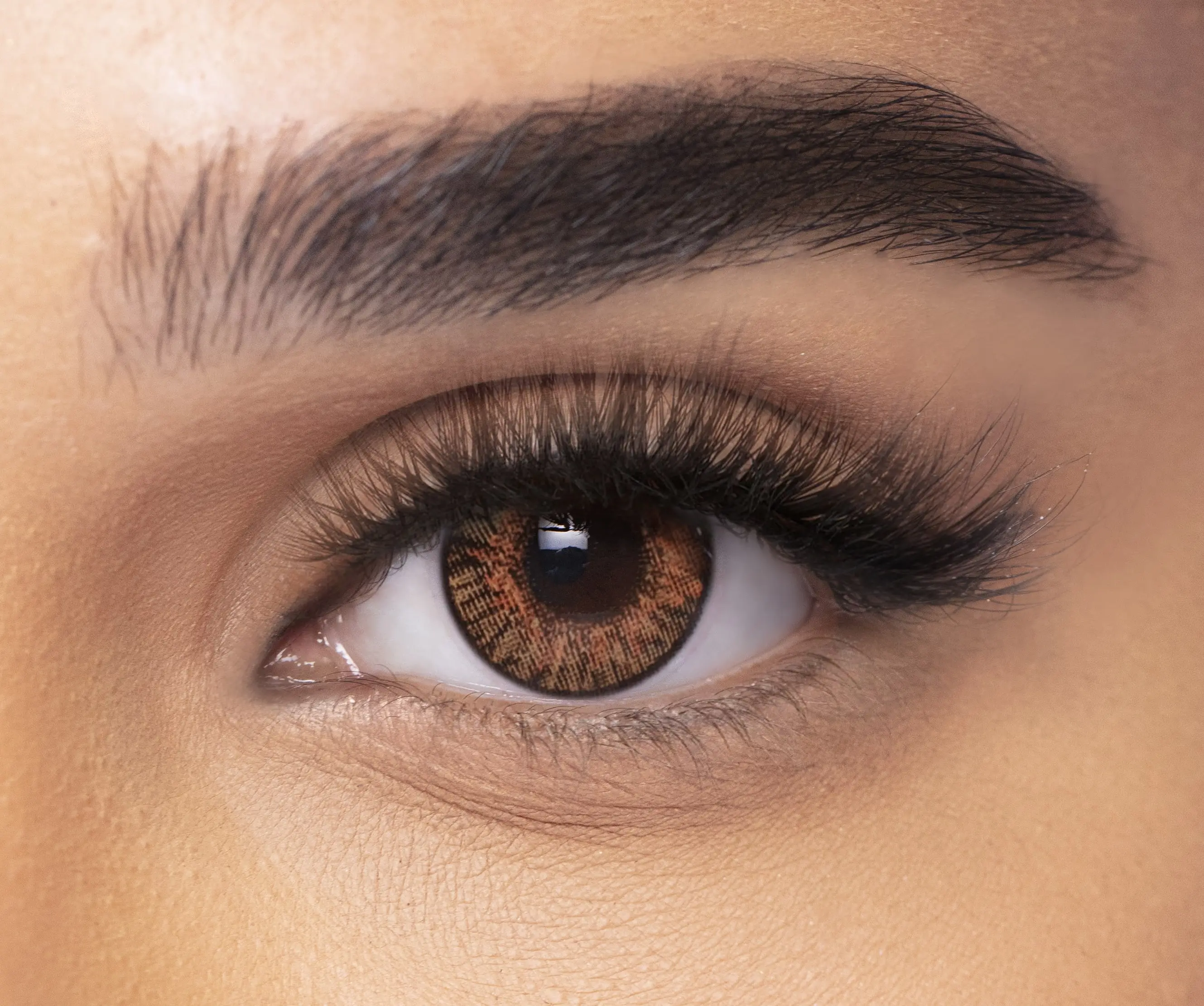 عدسات شهرية من فريش لوك كولور بليندز- عبوة من عدستين