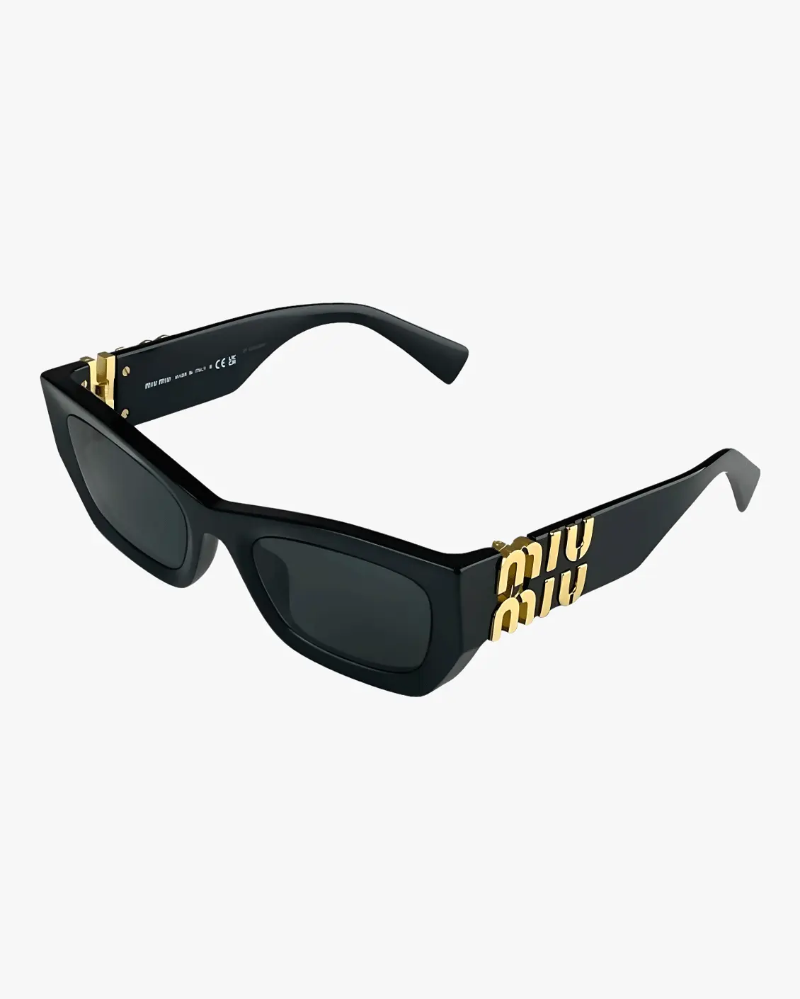 Rectangle Sunglasses in Black